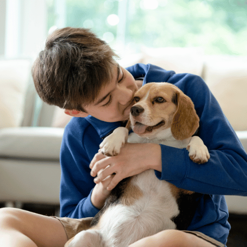 Animal and Pets
