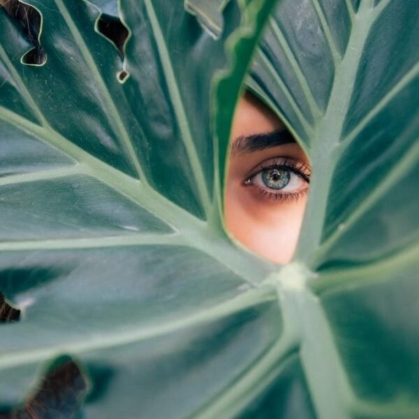 Natural beauty